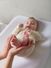 Набор из 12 предметов "SWEET DREAMS: MOMMY LOVE", Pink